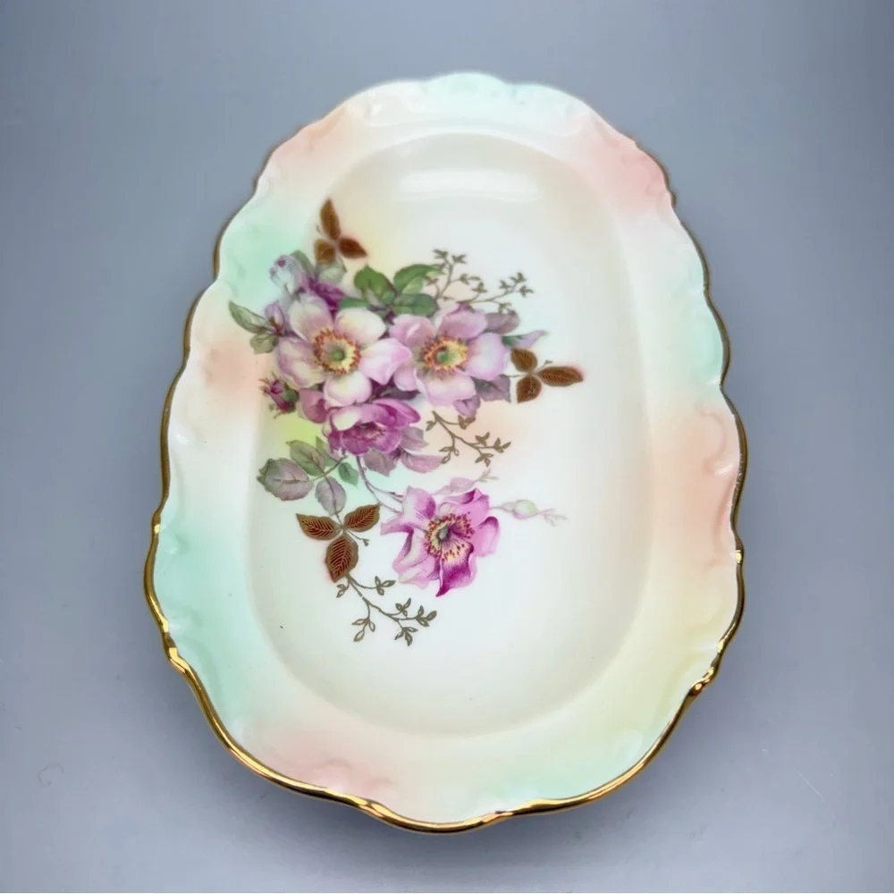 Vintage Schumann Arzberg Germany  Wild Rose Pattern Handpainted Porcelain Dish